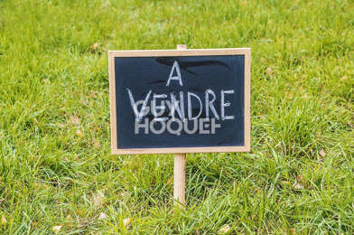 Terrain  189000 €