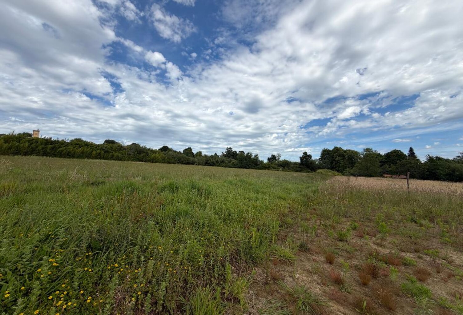 Terrain de 14000 m² pour construction de plusieurs maisons — photo 1