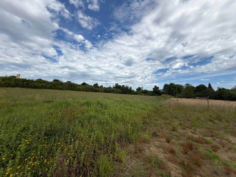 Terrain de 14000 m² pour construction de plusieurs maisons — photo 1