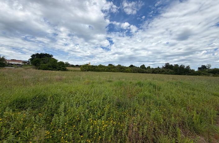 Terrain de 14000 m² pour construction de plusieurs maisons — photo 2