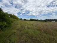 Terrain de 14000 m² pour construction de plusieurs maisons — photo 3