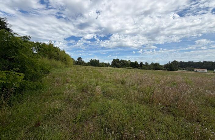 Terrain de 14000 m² pour construction de plusieurs maisons — photo 3