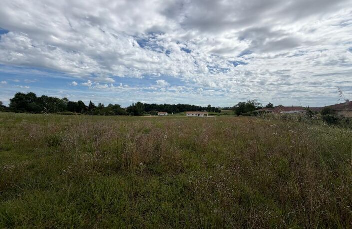 Terrain de 14000 m² pour construction de plusieurs maisons — photo 4