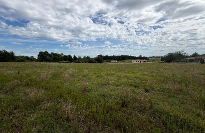 Terrain de 14000 m² pour construction de plusieurs maisons — photo 5