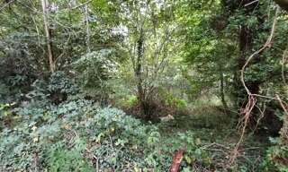Terrain  8920 m² à vendre à Saint-Priest-Taurion (87480)