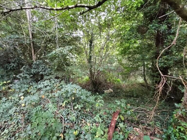 Terrain Saint Priest Taurion 1 800m2 — photo 1