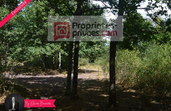 Terrain boisé de 30 000 m² — photo 4