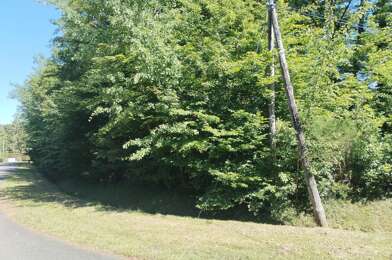Terrain  35000 €