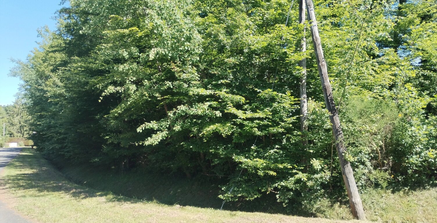 TERRAIN À BÂTIR 2 336 M² - LOTISSEMENT — photo 1