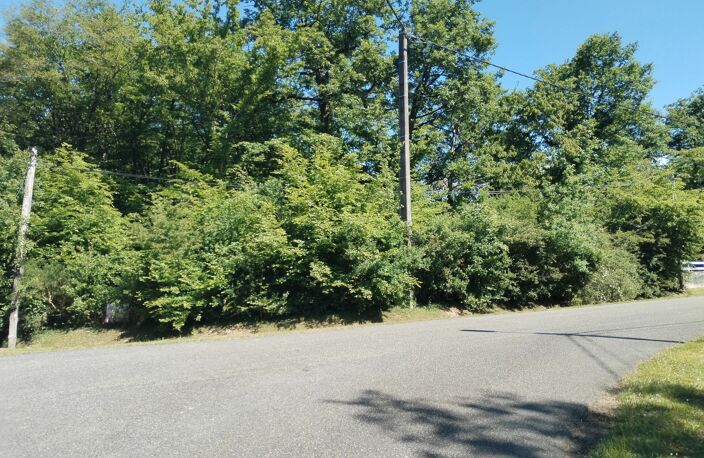 TERRAIN À BÂTIR 2 336 M² - LOTISSEMENT — photo 2