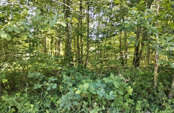 TERRAIN À BÂTIR 2 336 M² - LOTISSEMENT — photo 3