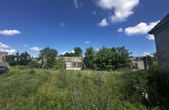 Terrain — photo 4