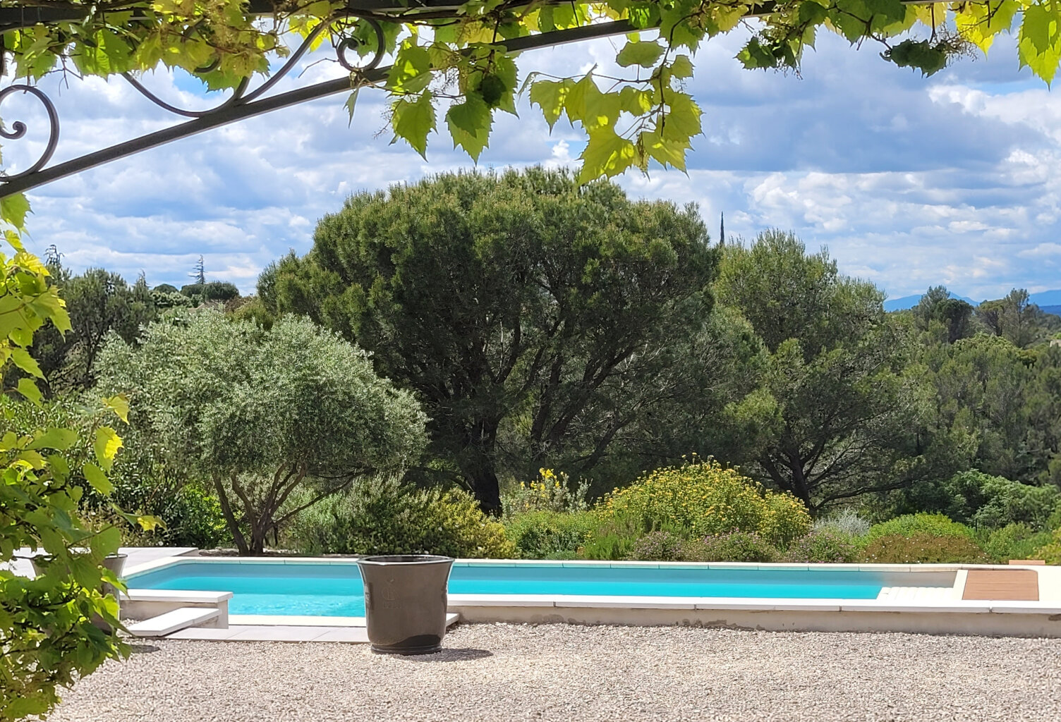 LA VUE !! — photo 1