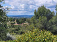 LA VUE !! — photo 3