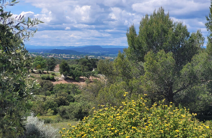 LA VUE !! — photo 3