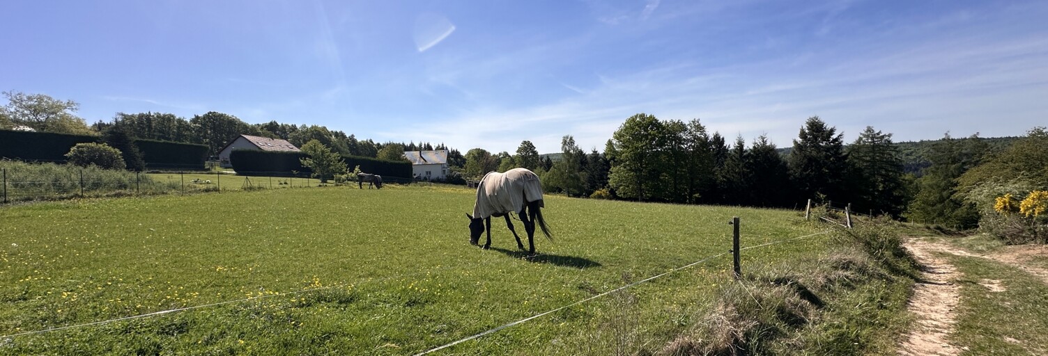 Photo N° 2