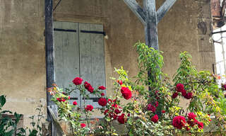 Photo N° 2