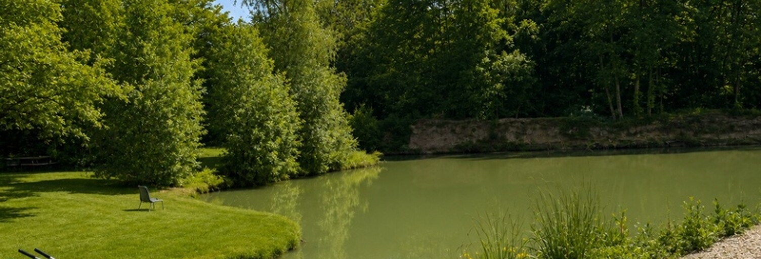 Maison  4660 m² à vendre à Perthes (52100)
