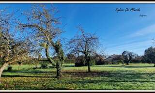 Terrain  1604 m² à vendre à Feillens (01570)