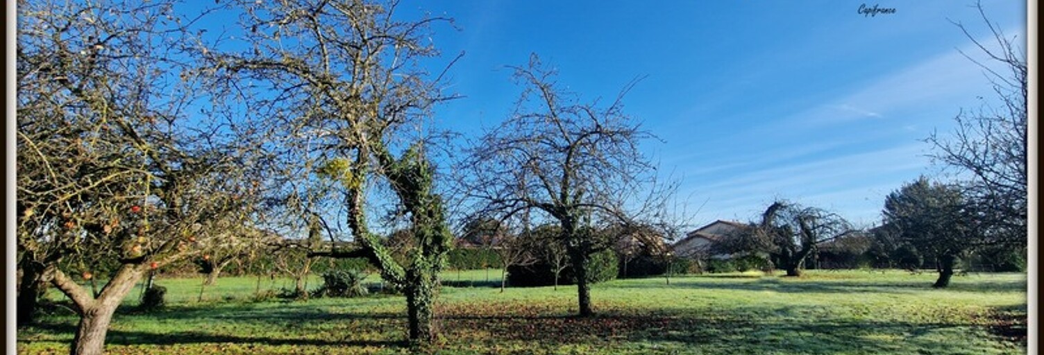 Terrain  1604 m² à vendre à Feillens (01570)