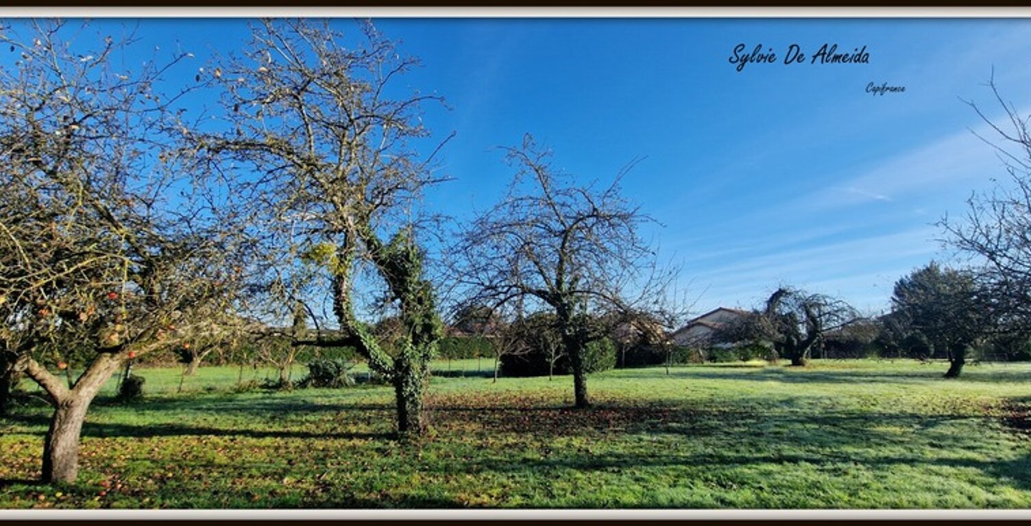 Terrain constructible, 1600 m²,  hors lotissement, Feillens proche Mâcon — photo 1