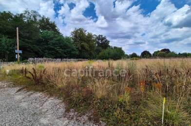 Terrain  150000 €