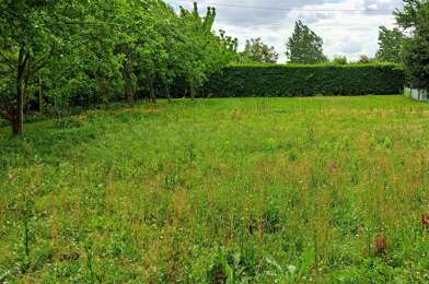 Terrain  62000 €