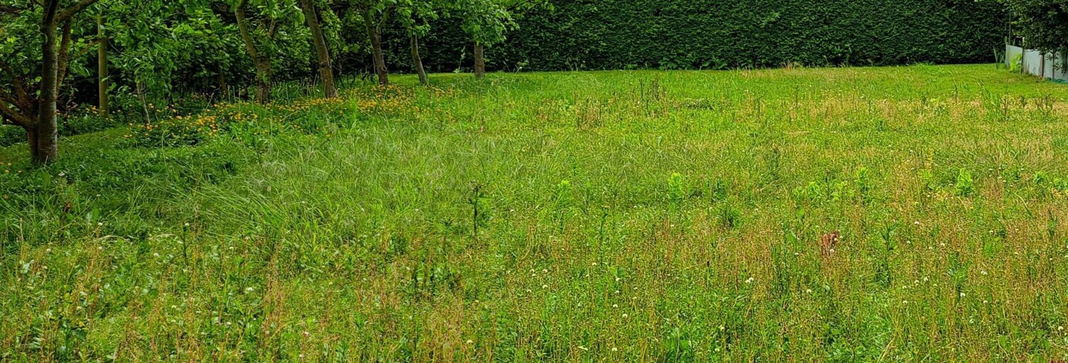 Terrain  1501 m² à vendre à Téteghem-Coudekerque-Village (59229)
