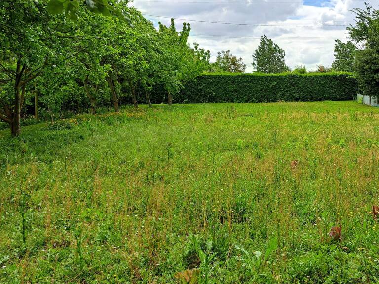 A SAISIR - Très beau Terrain de Loisir avec emplacement privilégié! — photo 1
