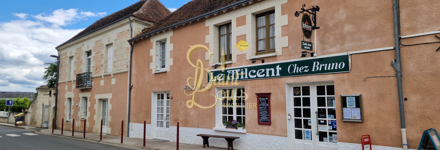 Immeuble  500 m² à vendre à Richelieu (37120)