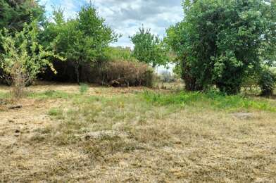 Terrain  29000 €