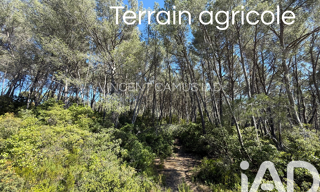Terrain  7325 m² à vendre à La Cadière-d'Azur (83740)