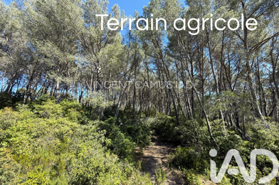 Terrain  39000 €