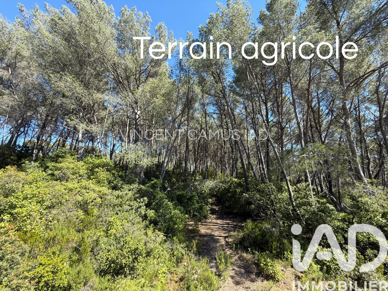 Vente Terrain agricole 7 325 m&sup2; — photo 1