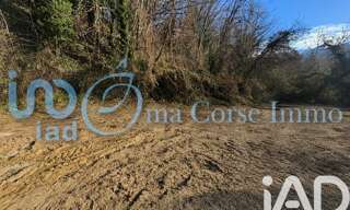 Terrain  967 m² à vendre à Bastelica (20119)