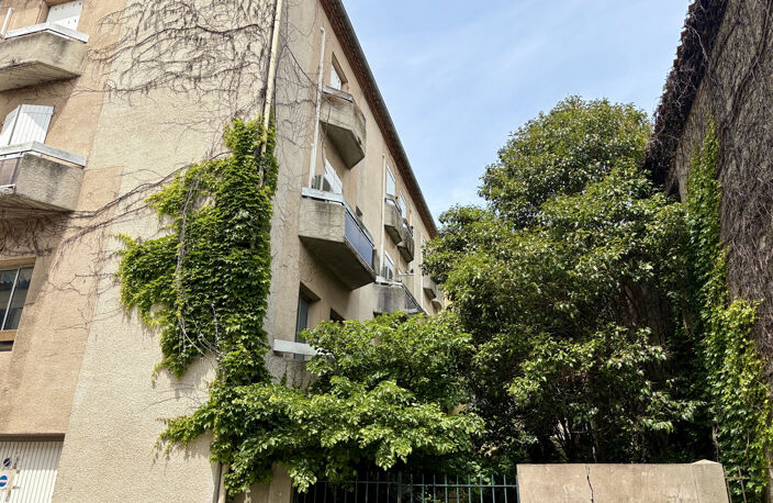 CARCASSONNE- Ensemble immobilier avec jardin — photo 2