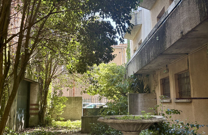 CARCASSONNE- Ensemble immobilier avec jardin — photo 3