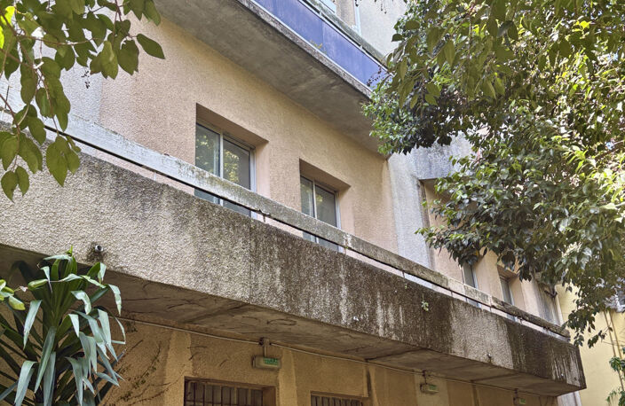 CARCASSONNE- Ensemble immobilier avec jardin — photo 4