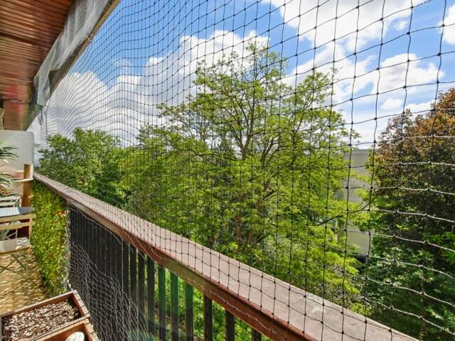 78170 - LA CELLE SAINT CLOUD - APPARTEMENT - 2 CHAMBRES - BUREAU - LOGGIA - LUMINEUX - CALME - RÉSIDENCE SÉCURISÉE — photo du bien