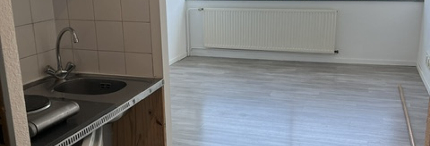 Appartement 1 Pièce 21 m² à louer à Lyon 7 (69007)