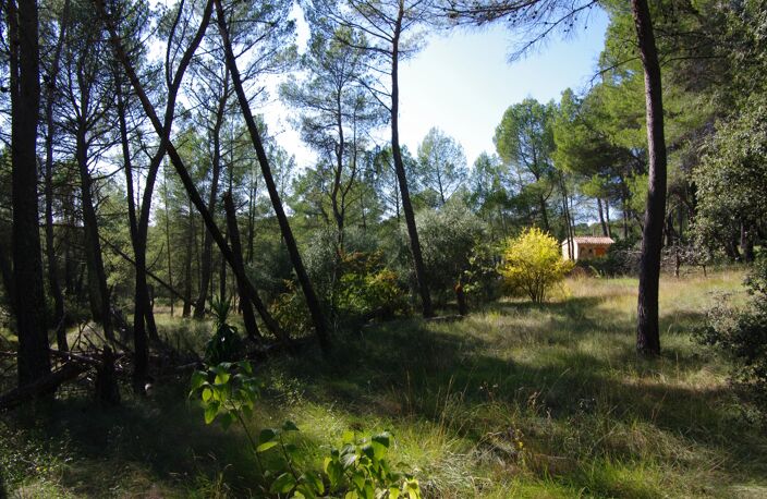 VILLECROZE- MAISON T6- 4 CHAMBRES- PISCINE-GARAGES-SOUS-SOL-TERRAIN 5193 M2 — photo 3