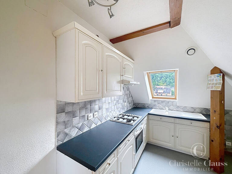Appartement Bitschwiller Les Thann 2 pièces 41.03 m2 — photo 1