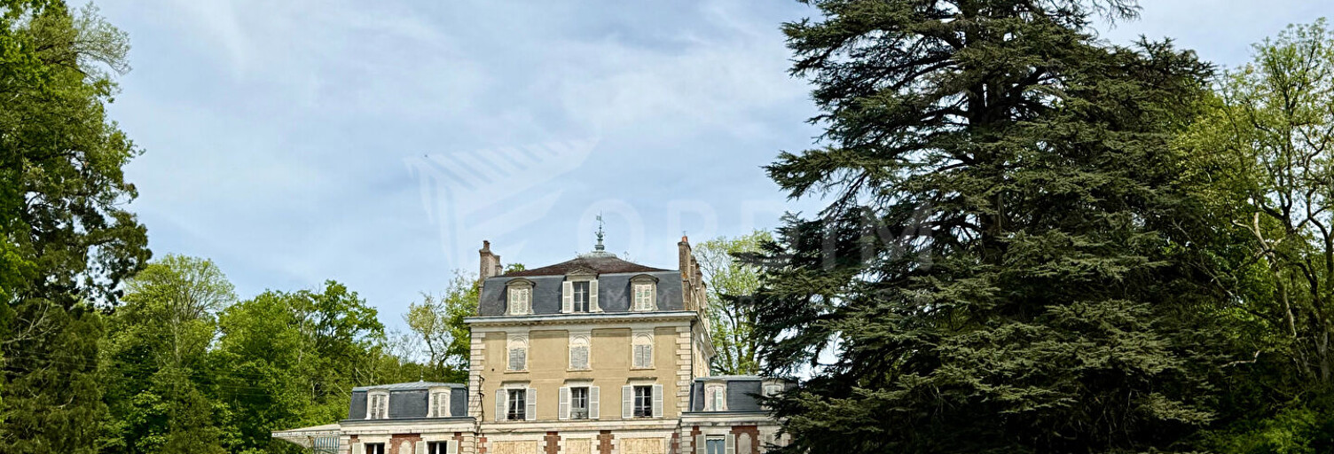 Maison 12 Pièces 838 m² à vendre à Saint-Sauveur-en-Puisaye (89520)