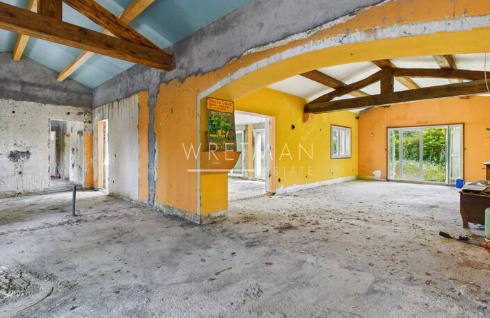 Idéal investisseur, professionnel du bâtiment ou marchand - Chat — photo 4