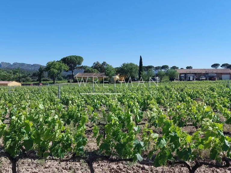 Rare propriété viticole avec restaurant et hébergements – La Mot — photo 1
