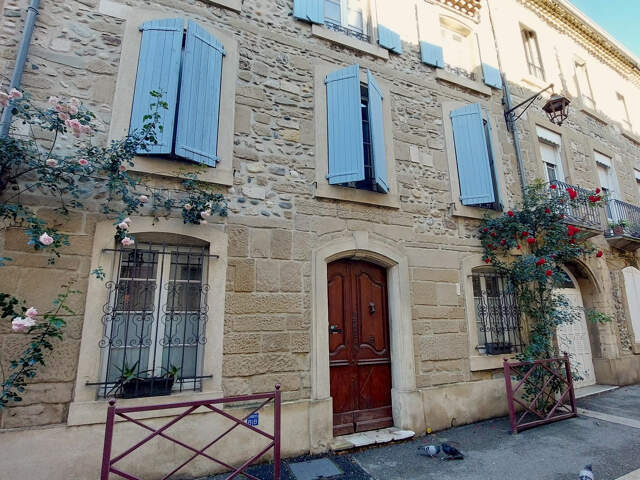 Maison de ville avec jardin en centre-ville — photo du bien