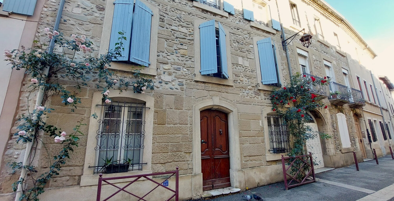 Maison de ville avec jardin en centre-ville — photo 1