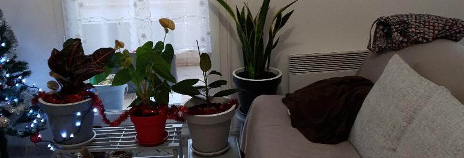 Appartement 1 Pièce 42 m² à vendre à Narbonne (11100)
