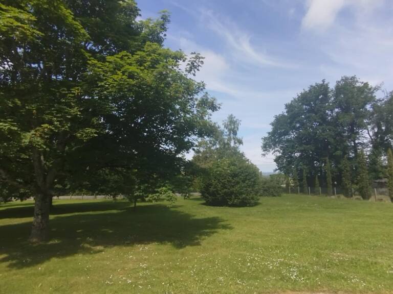 Terrain — photo 1