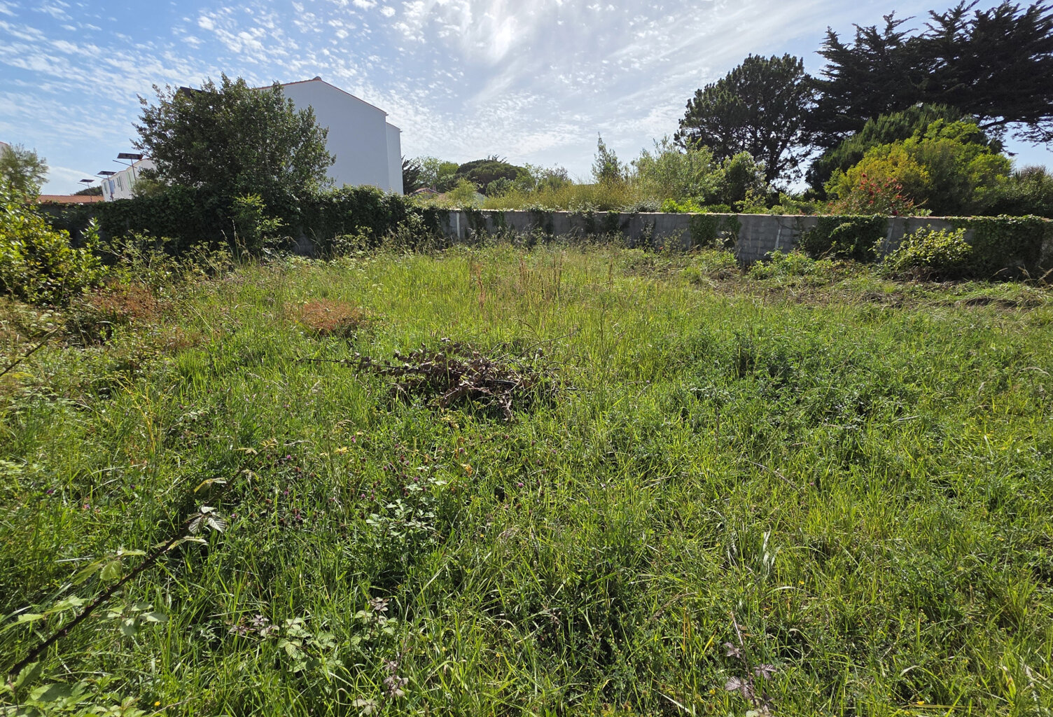 TERRAIN A BÂTIR — photo 1